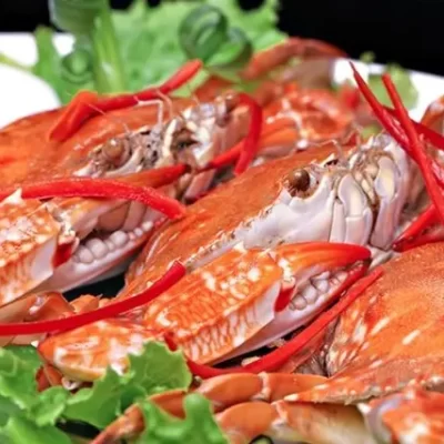 GHẸ HẤP / LẠNG