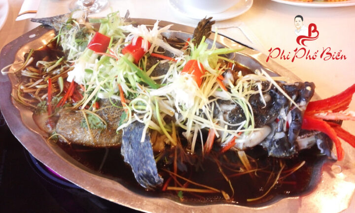 CA MU CHUNG TUONG