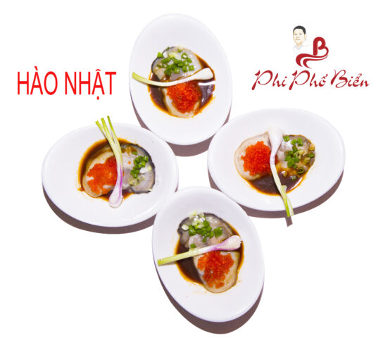 HAO NHAT 1