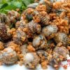 SÒ HUYẾT CHÁY TỎI / LẠNG