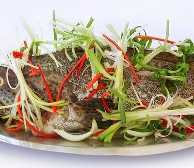CÁ MÚ TRÂN CHÂU HẤP HK / LẠNG