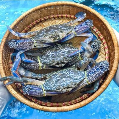 GHẸ HẤP / LẠNG