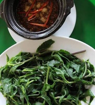 RAU RỪNG KHO QUẸT / PHẦN