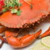 CUA THỊT HẤP / LẠNG